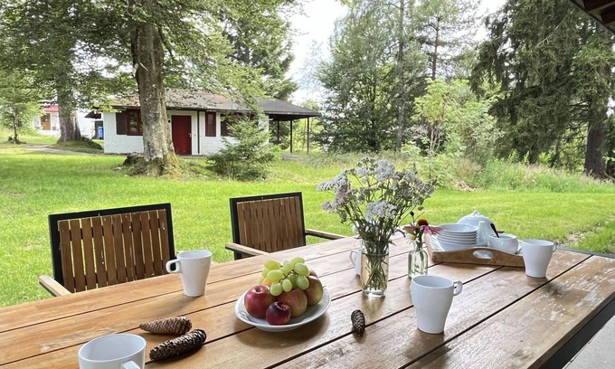 Grafenhausen House | Cosy apartment in villa for 6 people with WIFI, TV, terrace and parking