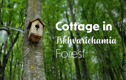 Mtskheta Ski Chalet | Cottage in Tskhvarichamia forest