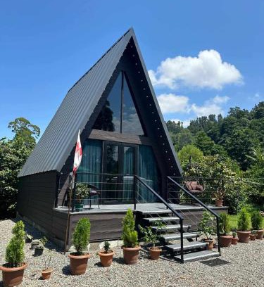 Gonio Ski Chalet | Cottage Lemons In Gonio