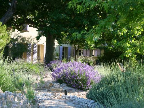 Le Thor Bed & Breakfast | Couleur Lavande