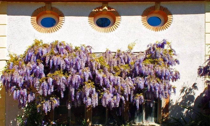 Saint-Nicolas-de-la-Grave Cottage | Country Cottage / Gite - Saint-Nicolas-de-la-Grave