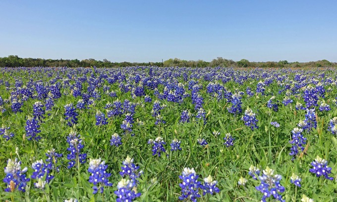 Round Top Apartment | Country Comfort Apartment 8 miles from Round Top
