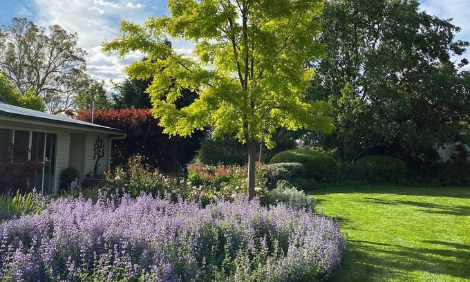 Molong House | Country Cottage Farm Stay