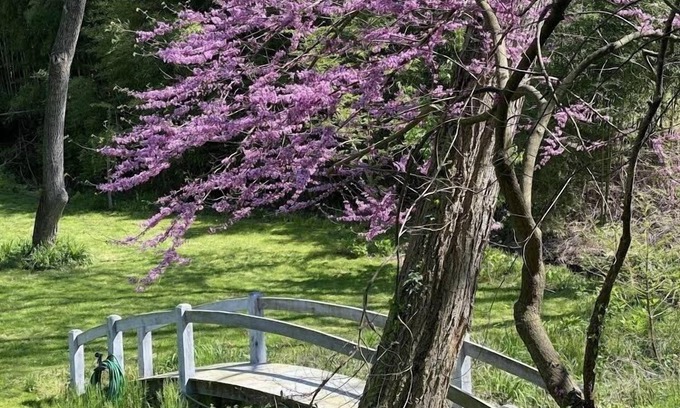 Chestertown House | Country Estate in Historic District