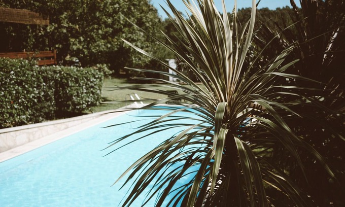 Castelo do Neiva House | Country house by the river, with pool and total privacy