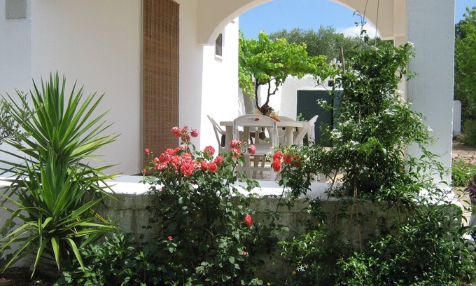Fumarola House | Country house surrounded by olive trees, a few km from Ostuni and the sea