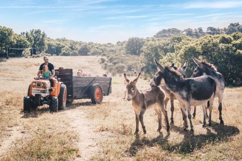 Octon Villa | Country Kids Resort - Family Holidays France