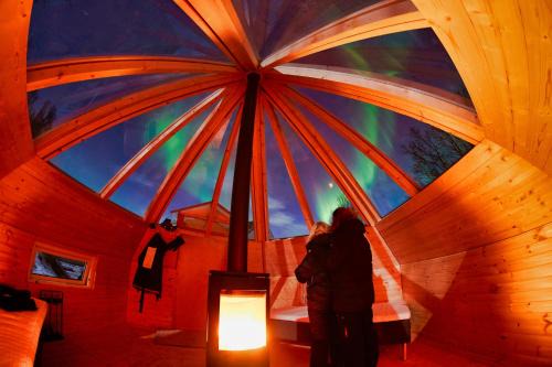 Lyngen Other | Countryside Tromsø- Cozy glass- roof cabins- Aurora wonderland
