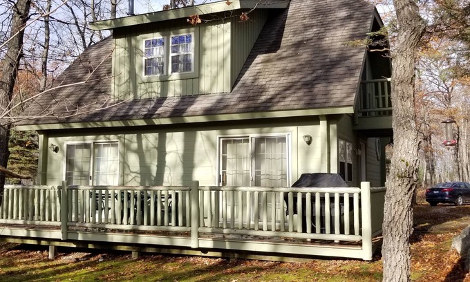 Lewiston Cottage | Cozy 2bed2bath cottage w/fireplace in the woods, perfect for Up North adventure