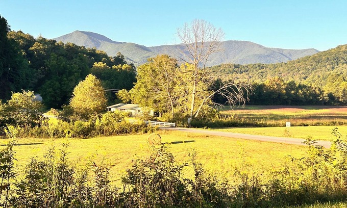 Franklin House | Cozy 3 Bed 2 Bath with Huge Outdoor Living