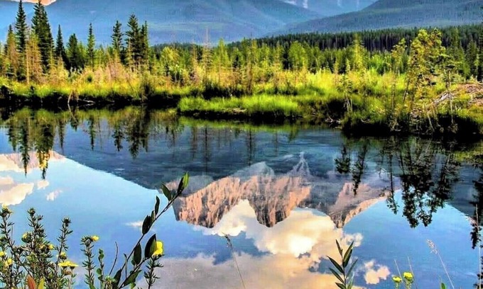 Cougar Creek House | Cozy and Private Suite just 20 minutes from Banff!