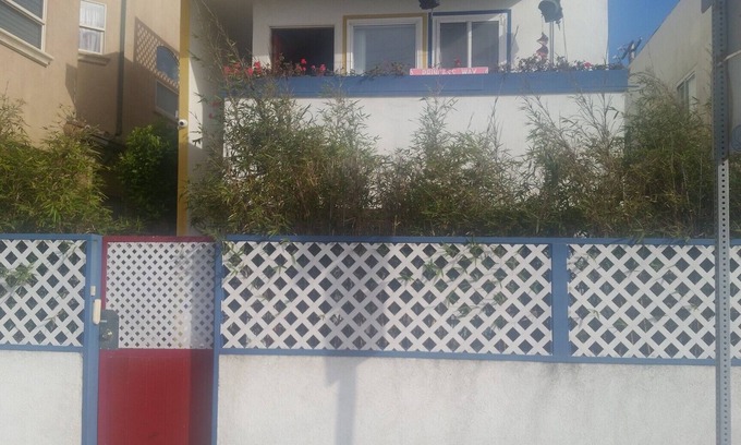 The Jungle Apartment | Cozy Beach Apartment near LAX & Silicon Beach