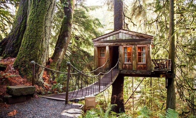 London Bed & Breakfast | Cozy cabin