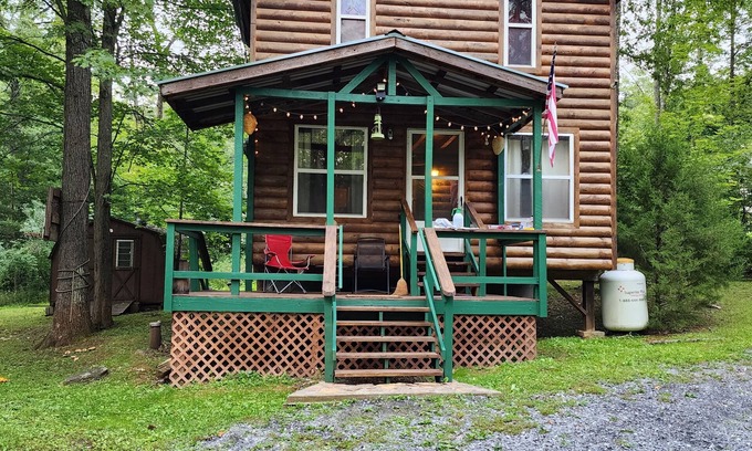 Howard Cabin | Cozy Cabin Nestled at the base of the Bald Eagle Mtn.