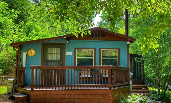 Mars Hill Cabin | Cozy cabin with hi-speed fiber optic. Dog friendly! 40 min to dtwn Asheville.