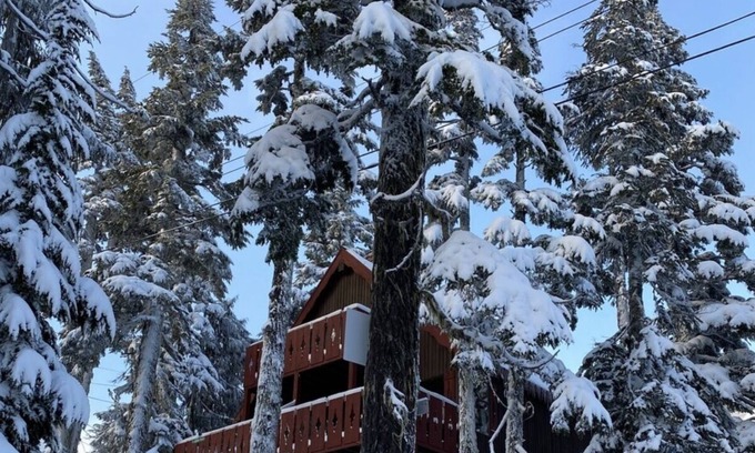 Courtenay Ski Chalet | Cozy Chalet in the Heart of the Apline Village