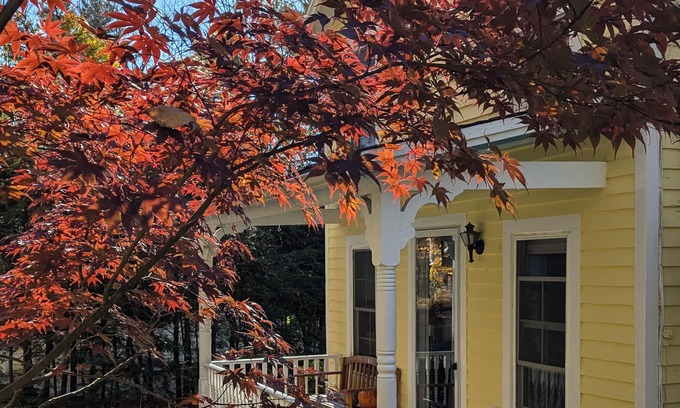 Norfolk Cottage | Cozy Cottage in Historic Norfolk