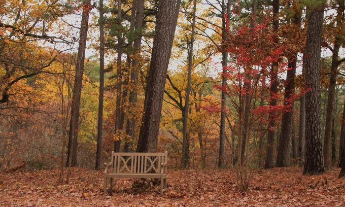 Scraper Cabin | Cozy Country Cabin for 4