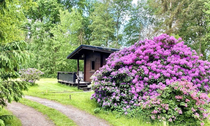 Eschede House | Cozy holiday home on a horse farm in the Lüneburg Heath
