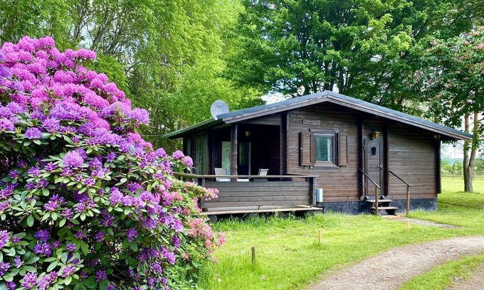 Eschede House | Cozy holiday home on a horse farm in the Lüneburg Heath