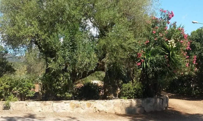 Castiadas Apartment | Cozy Home Nestled in the Olive Groves of Castiadas