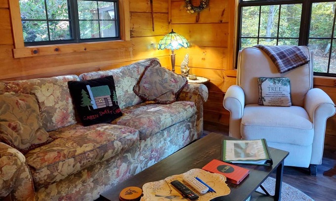 Waynesville Cabin | Cozy mountain cabin with amazing views, year round hot tub and pet friendly