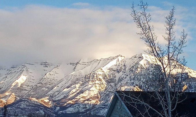 Hillcrest Apartment | Cozy Private Apartment with "Country Lane" Elegance in the Heart of Everything