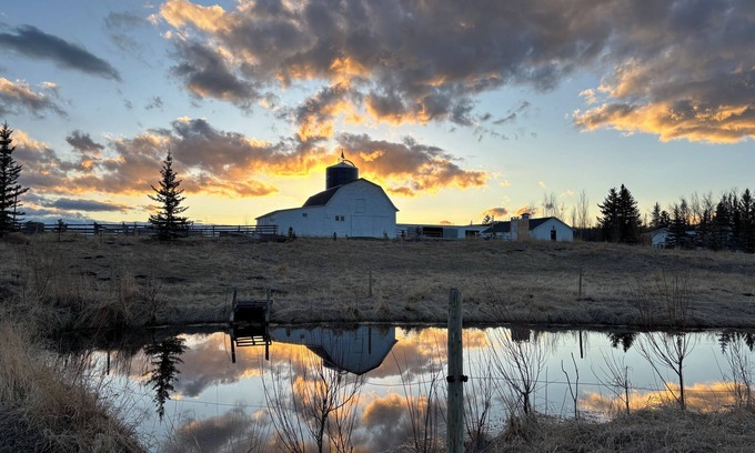 Calgary Other | Cozy Ranch Cabin at Historic Farm Two53