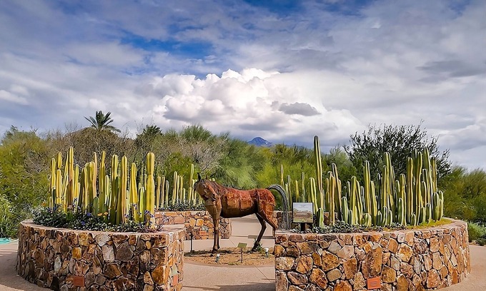 Tucson Hotel | Cozy Suite Retreat! 2 Modern Pet Friendly Units, Near Park Place Mall!