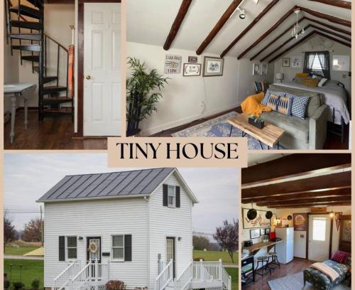 Harrisonburg House | Cozy Tinyhouse Jmudowntown Fire Pit Yard