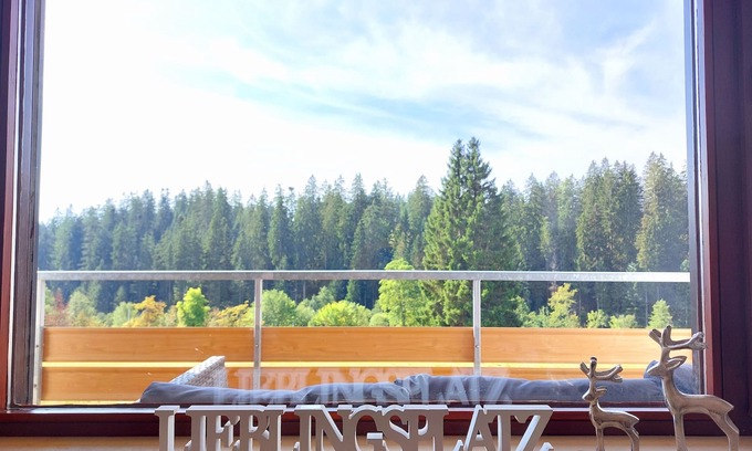 Freudenstadt Apartment | Cozy vacation apartment 'Lieblingsplatz' with pool and sauna