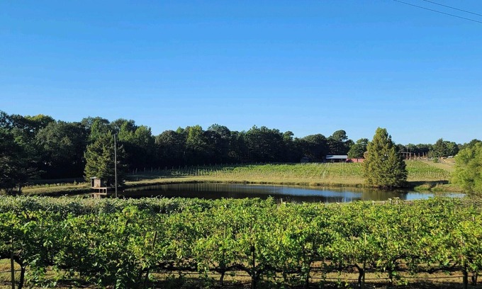 Gilmer Apartment | Cozy vineyard studio with peaceful pond views.