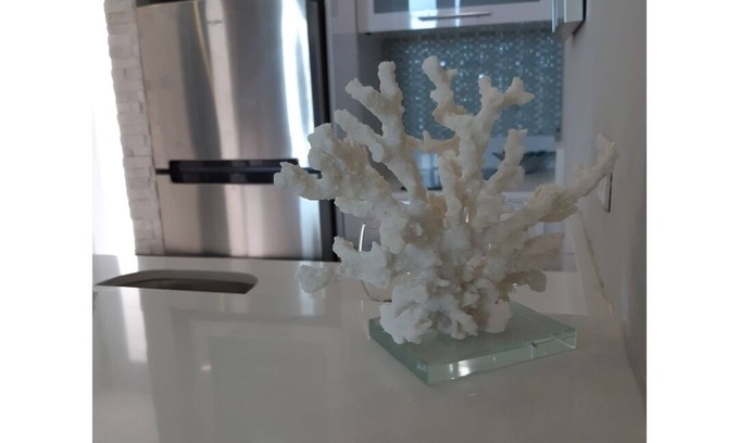 Playa Fortuna Apartment | Cozy Waking Distance to the Beach