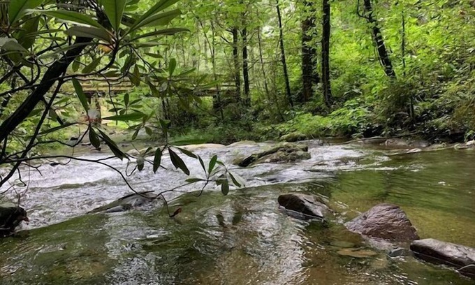 Ellijay House | Creekside Storie.Waterfalls Hike Bike Waterfalls!, Creekside Storie. Hot Tub, Cohutta Forest, Hiking.