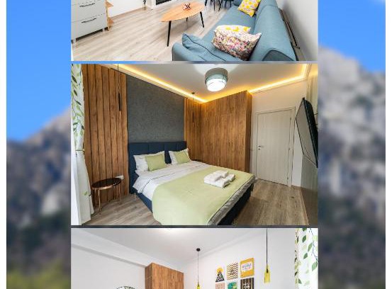Busteni Apartment | Cross Caraiman View 2