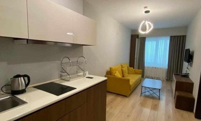 Bakuriani Apartment | Crystal residence bakuriani R#106