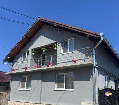 Cartisoara House | CTA House