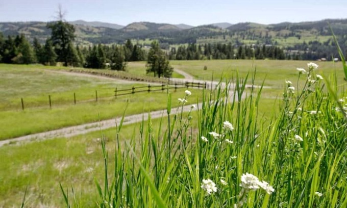 Republic House | Curlew Earth Home 2BD w/Valley & Mountain Views