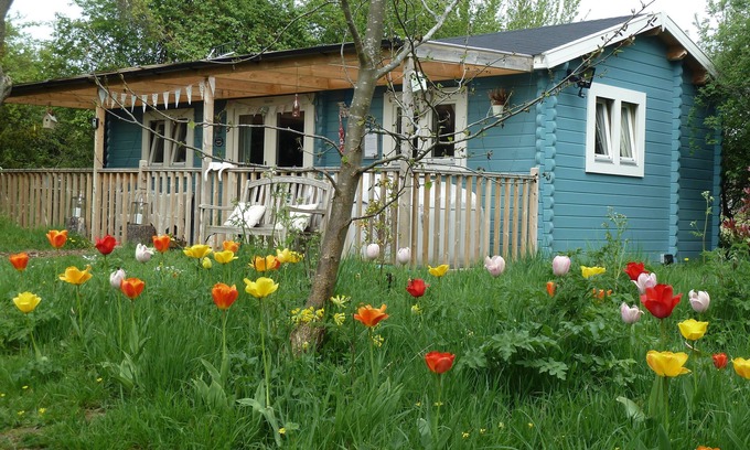 Great Witley Cabin | Cuttermoon Lodge - Escape to a Romantic Rural Idyll