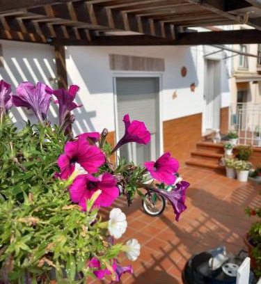Loreto House | Dalla Fede