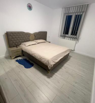 Radauti Apartment | Dany apartment