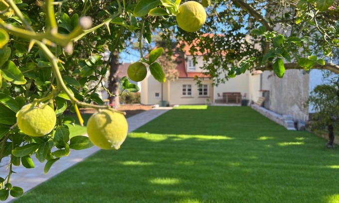 Mainz-Bingen House | Das "Sommerhaus" in Bingen am Rhein