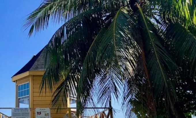 Atlantic Shores Cottage | De Loft Studio - Surf, Work, Chill