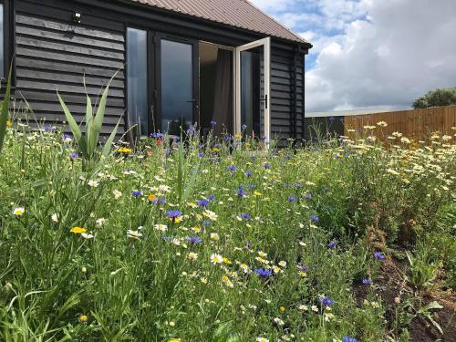Huntingdon House | Deer Lodge - Ukc4325