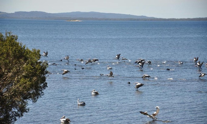 Denmark Bed & Breakfast | Denmark Waters B&B