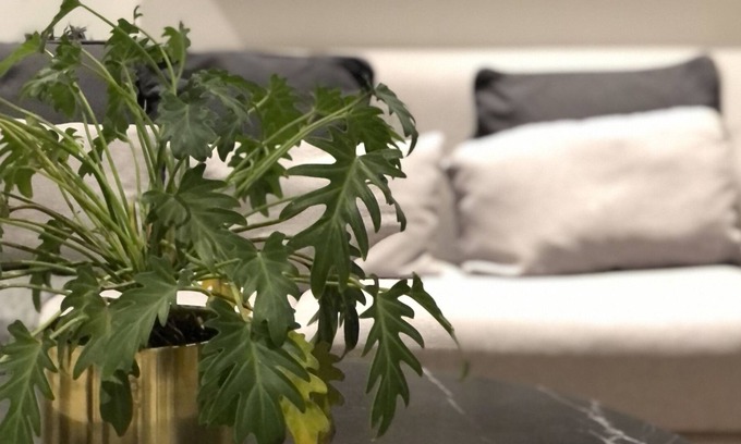 Providencia Apartment | Departamento en Zona Providencia de Guadalajara - Hightower