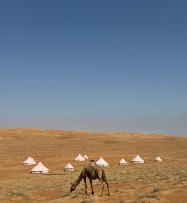 Bidiya Other | Desert Diamond Private Camp