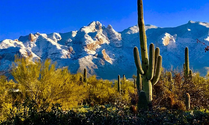Catalina Foothills Estates House | Desert Retreat at Tucson's Catalina Foothills
