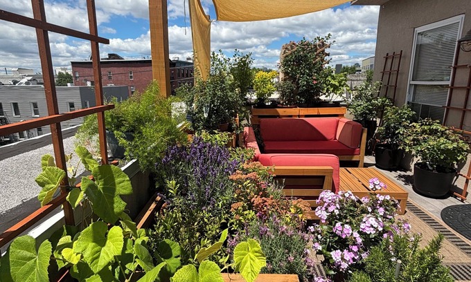 Historic Downtown Apartment | Designer Loft with Private Terrace