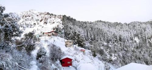Dhanaulti Hotel | Dhanolti The Grand Resort